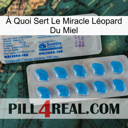 À Quoi Sert Le Miracle Léopard Du Miel new15